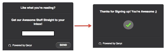 Get Email Leads Using Qeryz