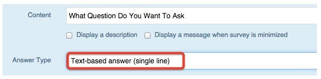 Text Based Answer - single line