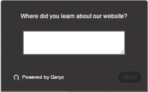 screenshot of qeryz survey