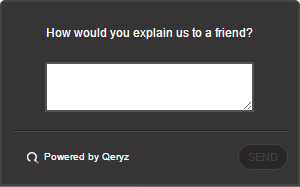 a screenshot of qeryz the online survey tool