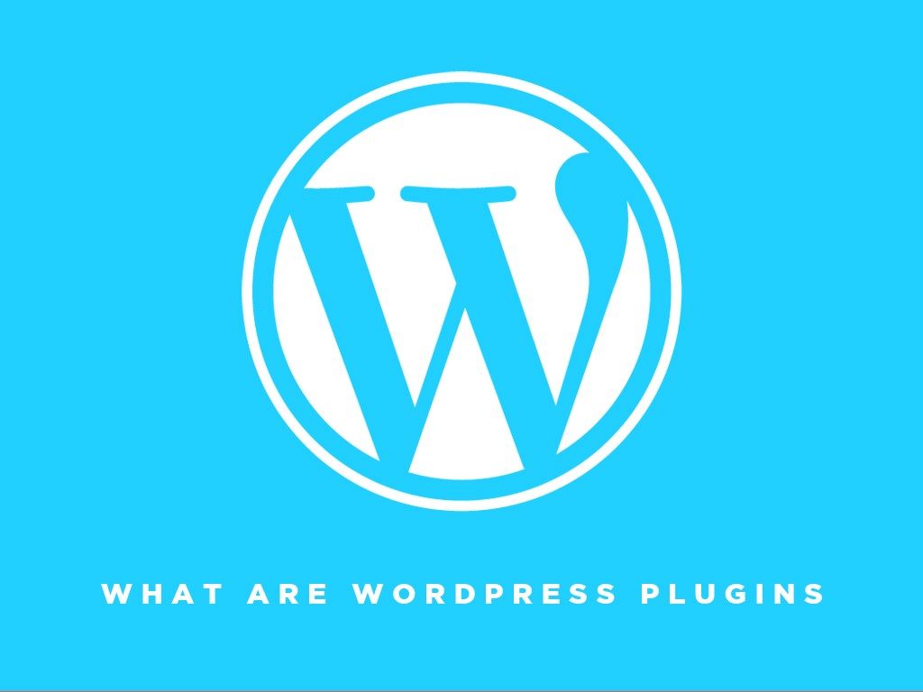 What are WordPress plugins?